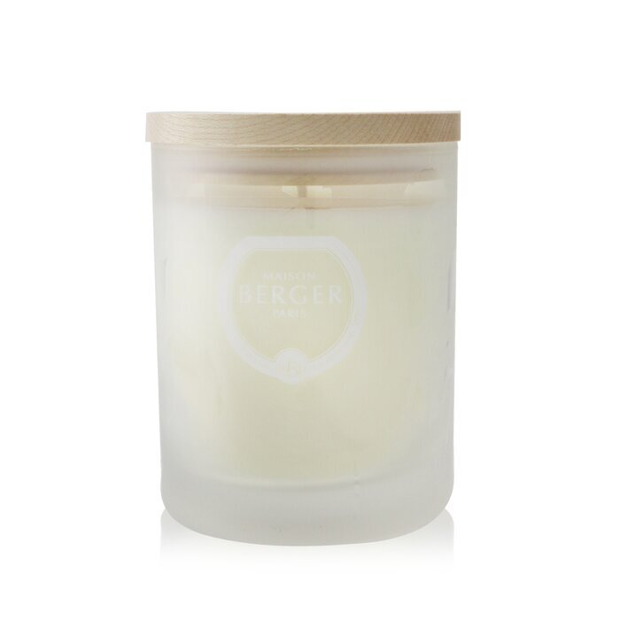 Lampe Berger (Maison Berger Paris) Duftkerze - Aroma D-Stress 180g/6,3oz