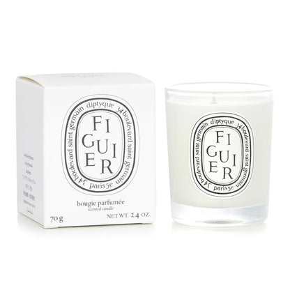 Diptyque Duftkerze – Figuier (Feigenbaum) 70 g