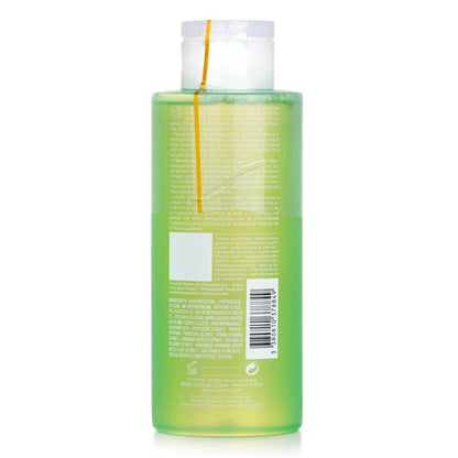 Clarins Reinigende Toning Lotion mit Mädesüß- und Safranblütenextrakten – Mischhaut bis fettige Haut, 400 ml/13,5 oz