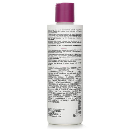 Christophe Robin Colour Shield Shampoo mit Camu-Camu-Beeren – gefärbtes, gebleichtes oder gesträhntes Haar, 250 ml