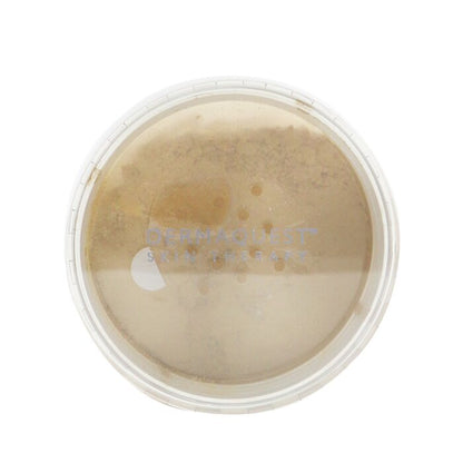 DermaQuest DermaMinerals aufbaubares Mineralpuder mit LSF 20 – Nr. 4N, 11,4 g/0,4 oz