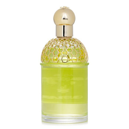 Guerlain Aqua Allegoria Forte Nerolia Vetiver Eau de Parfum Spray 125 ml
