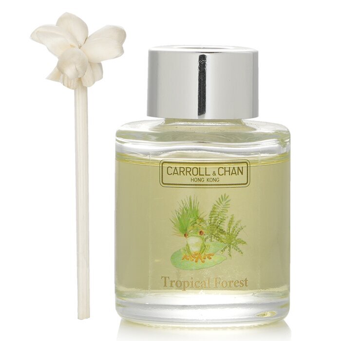 Carroll &amp; Chan Mini-Diffusor – Tropischer Wald (Meeresmoos, Küstenmammutbäume und Vetiver) 20 ml