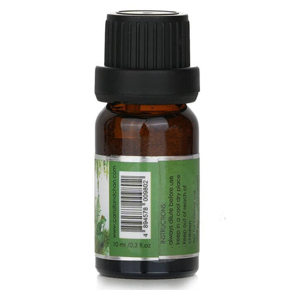 Carroll &amp; Chan Duftöl – Tropischer Wald, 10 ml
