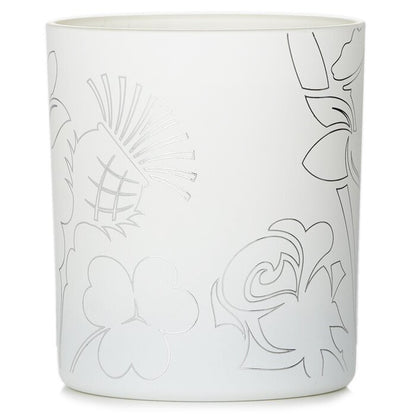 Noble Isle Pinewood Edle Duftkerze 200g/7.05oz