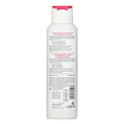 Lavera Shampoo Farbe &amp; Pflege 250ml/8.7oz