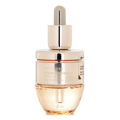 Sulwhasoo Konzentrierte Ginseng-Rettungsampulle 20 ml